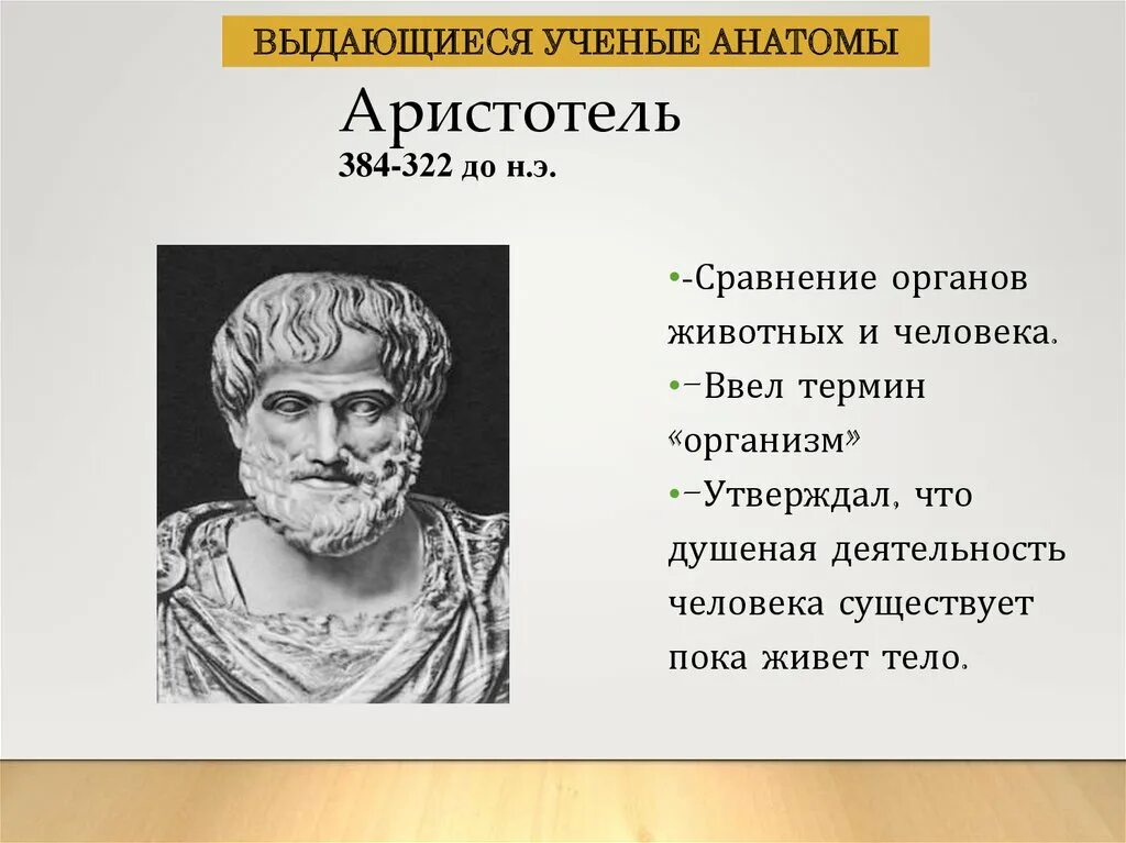 Аристотель вклад в анатомию. Аристотель ученый. Аристотель вклад в медицину. Труд анатомия Аристотеля.