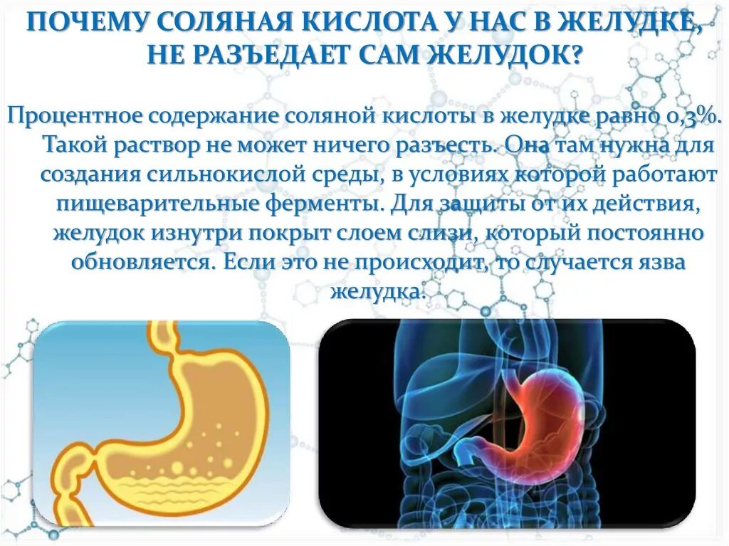 Почему выделяется желудочный сок. Сольнапя кислта вжелуде. Соляная кислота в желудке. Серная кислота в желудке человека. Желудок с соляной кислотой.