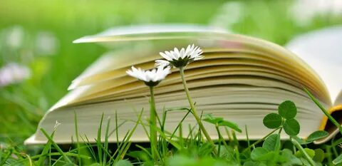 Книга природы картинка