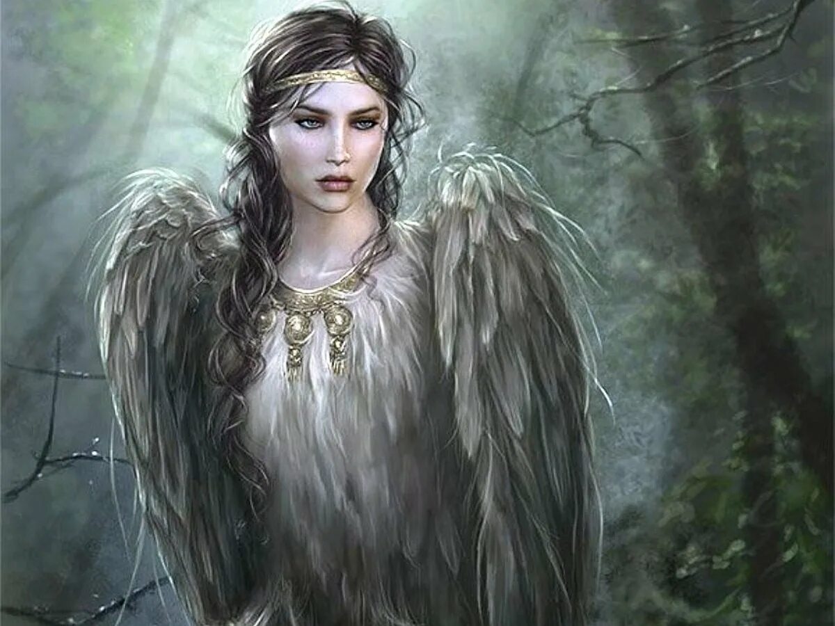 птица алконост в славянской мифологии. птица алконост в славянской мифологии. славянская птица алконост. птицы гамаюн алконост сирин феникс. алконост славянская мифология.