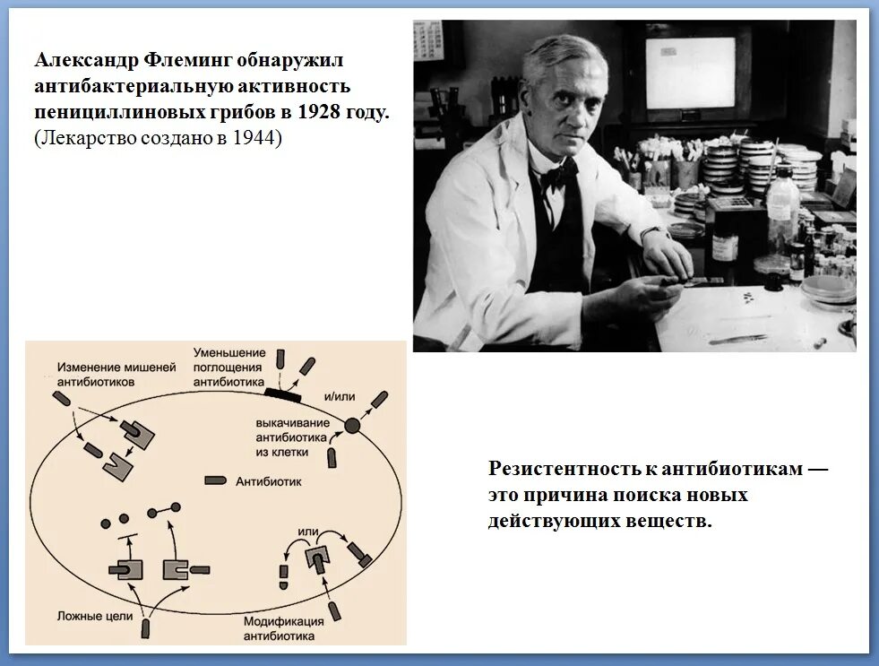 1928 год пенициллин. Антибиотик 1928 Флеминг. Флеминг пенициллин.