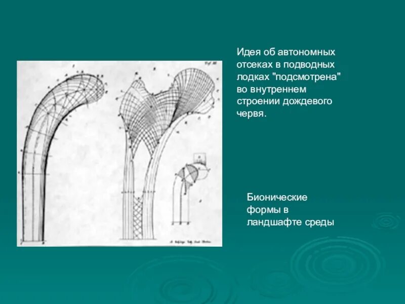 Бионика червя. Буровые машины Бионика. Дождевой червь и Бионика. Карта Бионика. Бионик парк