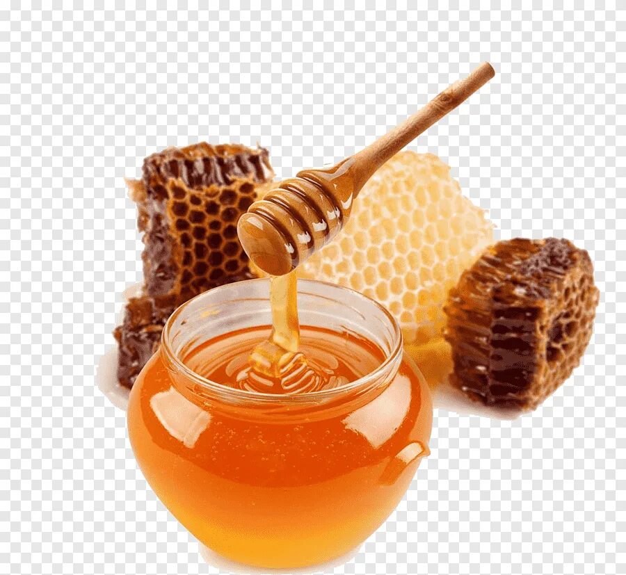 Вкушая вкусив мало меда. Мед. Мёд натуральный. Мед на белом фоне. Мёд и продукты пчеловодства.