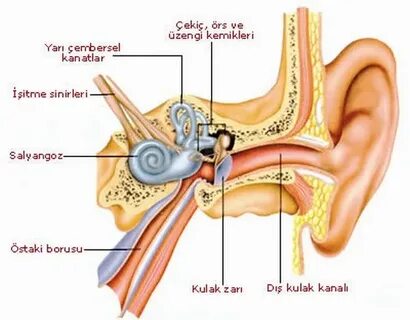 Бисексуалдардың ас үйде топтық жыныстық қатынасқа түсуінің видеосы