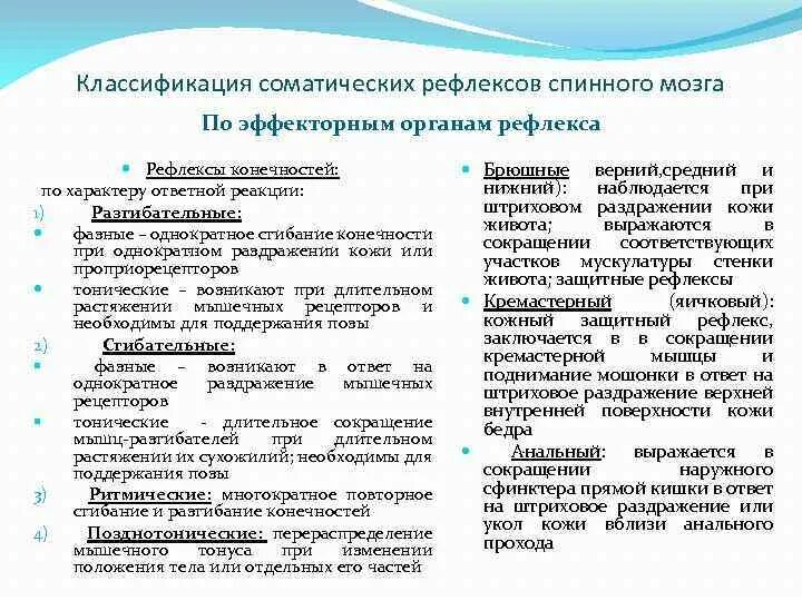 Спинальные соматические рефлексы. Вегетативные рефлексы спинного мозга таблица. классификация соматических рефлексов спинного мозга. классификация рефлексов спинного мозга. классификация двигательных рефлексов спинного мозга.