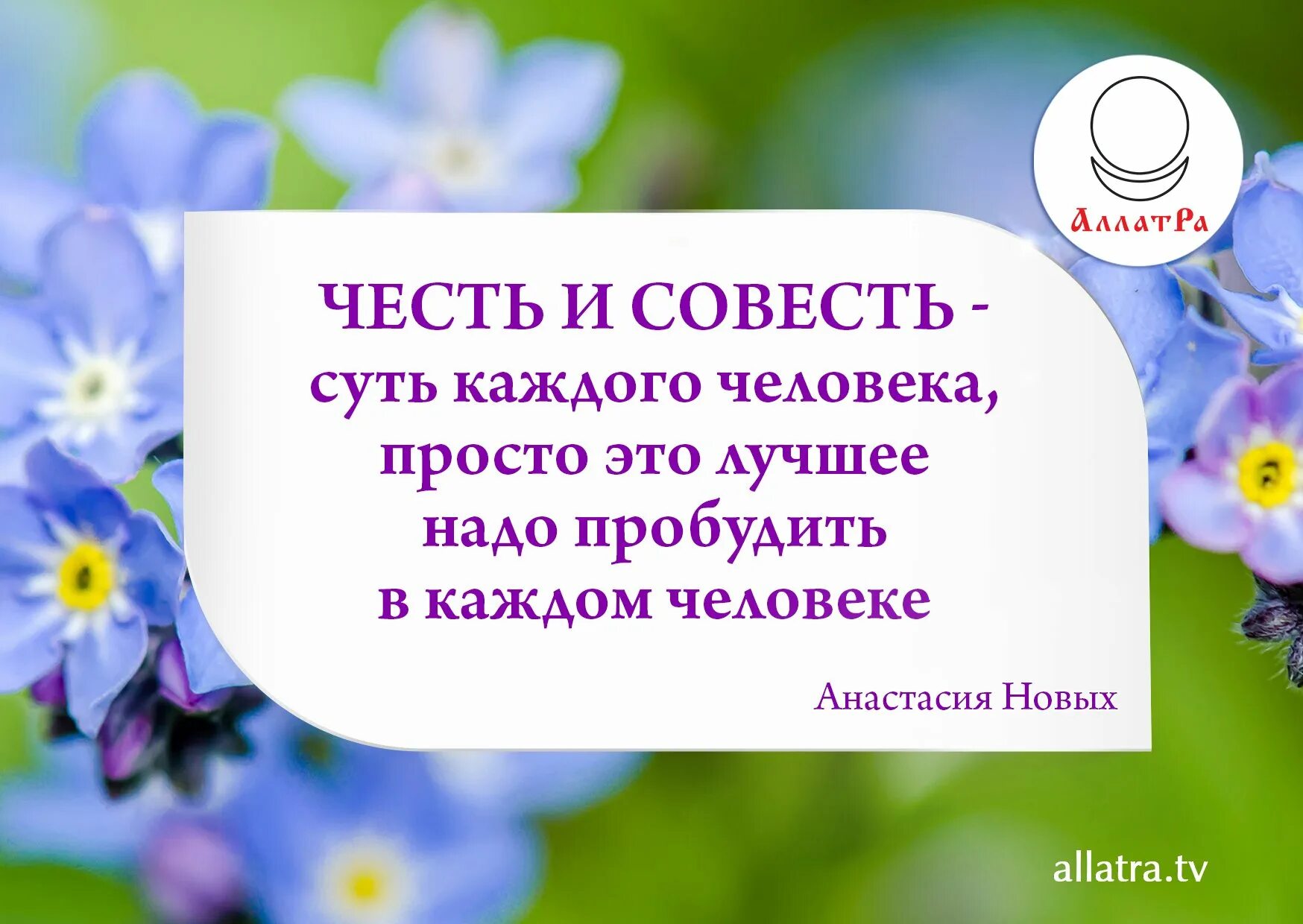 Совесть сущность. Цитаты про самопознание. Честь и совесть. Цитаты о чести и совести. Честь и совесть изречениями.