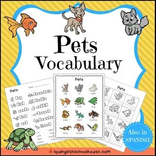 Pets vocabulary