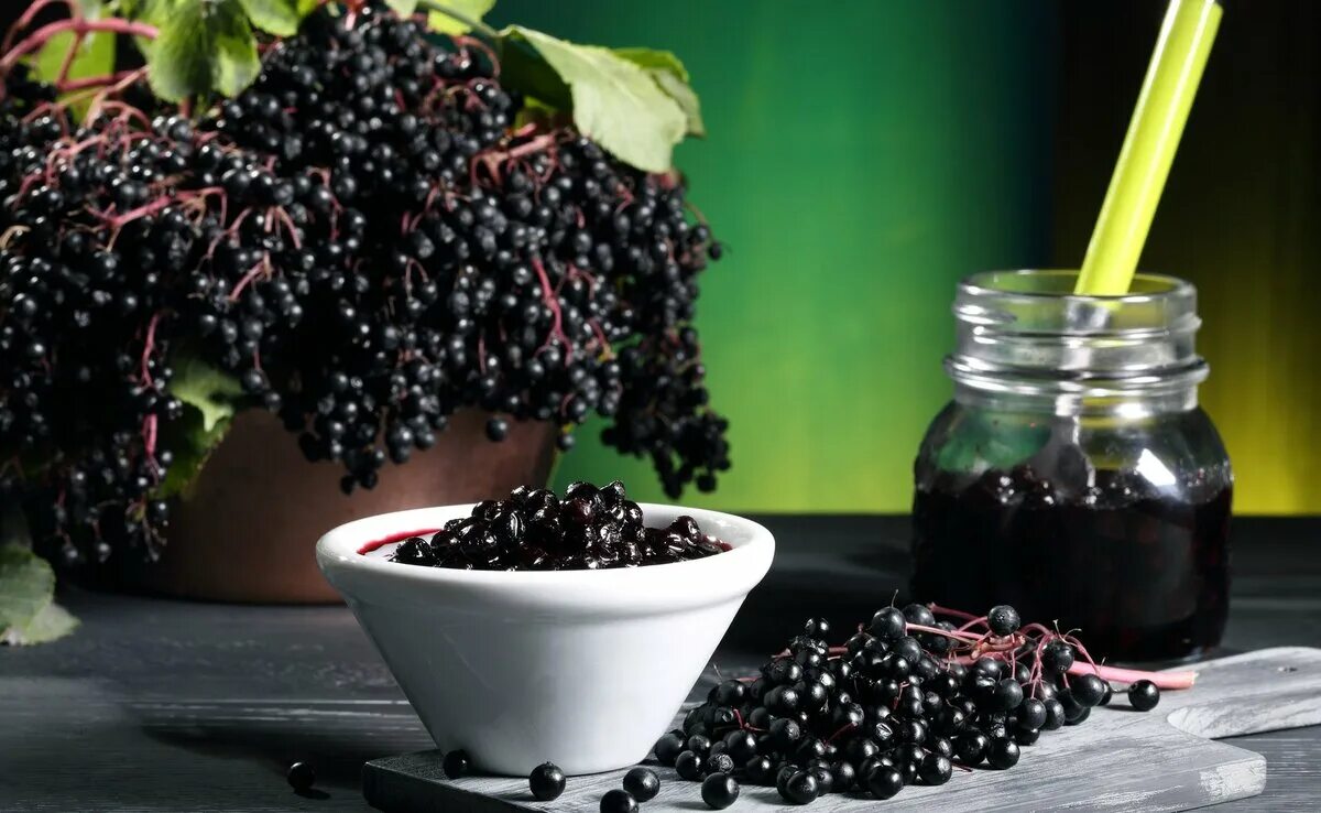 Масло чёрного тмина польза. Масло семян черного тмина. Черный тмин фото. Трава черный тмин. Масло черного тмина.