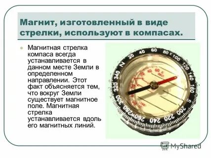 Магнитная стрелка в любом месте земли устанавливается