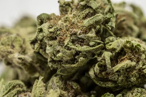 Auto cookies