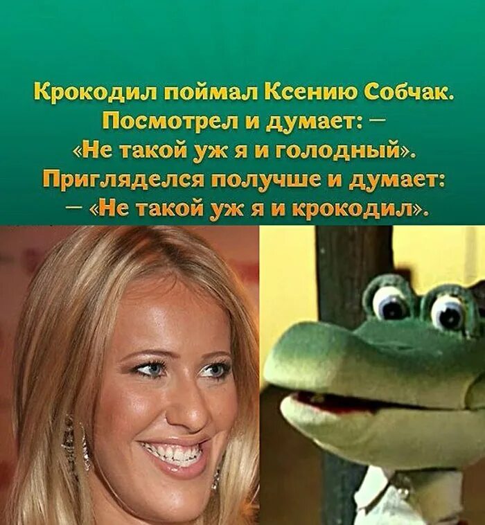 Вопросы про собчак. Анекдоты про собчак ксению. ксения собчак приколы. собчак мемы. поймал крокодил ксению собчак.