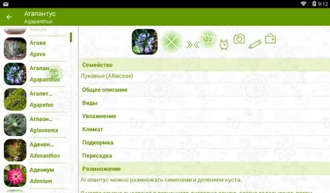 Измерение комнатных растений биология 5