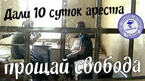 Дали 15 суток