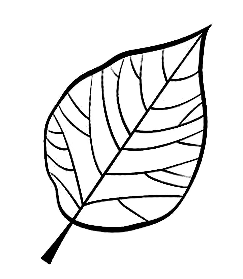 Черно белые картинки листьев. Трафареты "листья". Листочки раскраска. Контур листьев. Листья деревьев шаблоны.