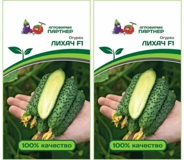 Магазины семян агрофирмы партнер