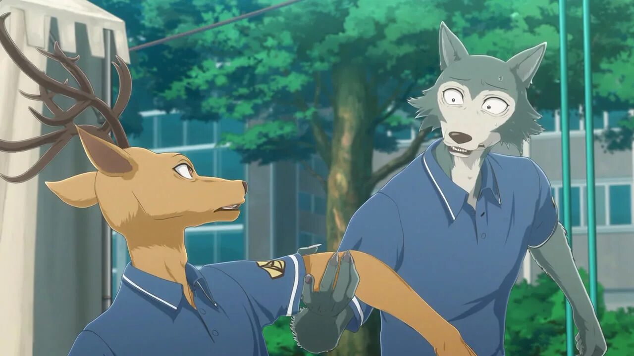 Тг канал животные. Beastars Хару\Луи. Выдающиеся звери.