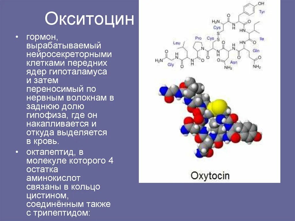 Окситоцин строение биохимия. Окситоцин гормон строение. Гормон окситоцин химическое строение. Окситоцин биохимия формула.