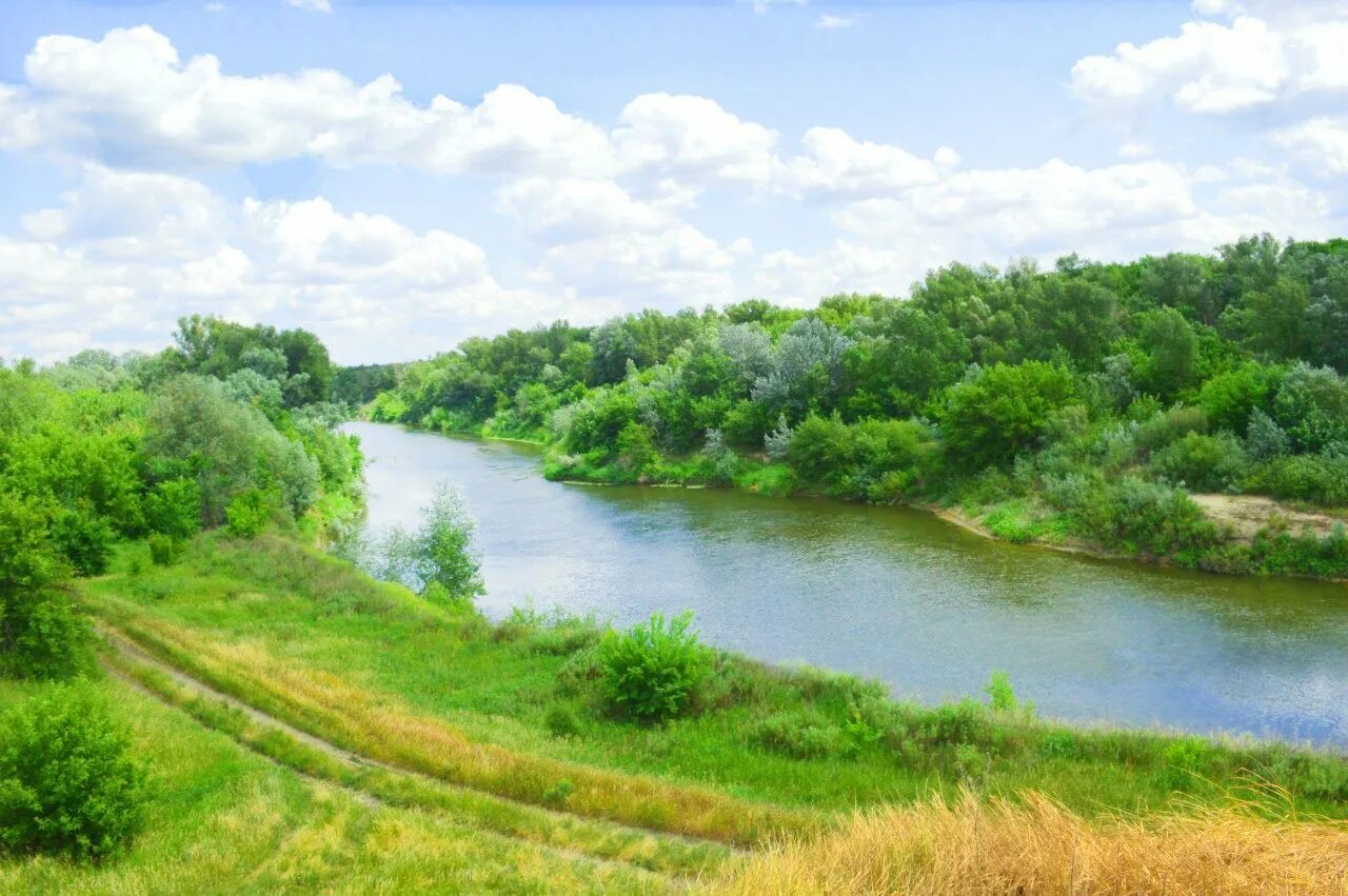Река родного края