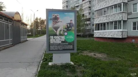 5 снежинск