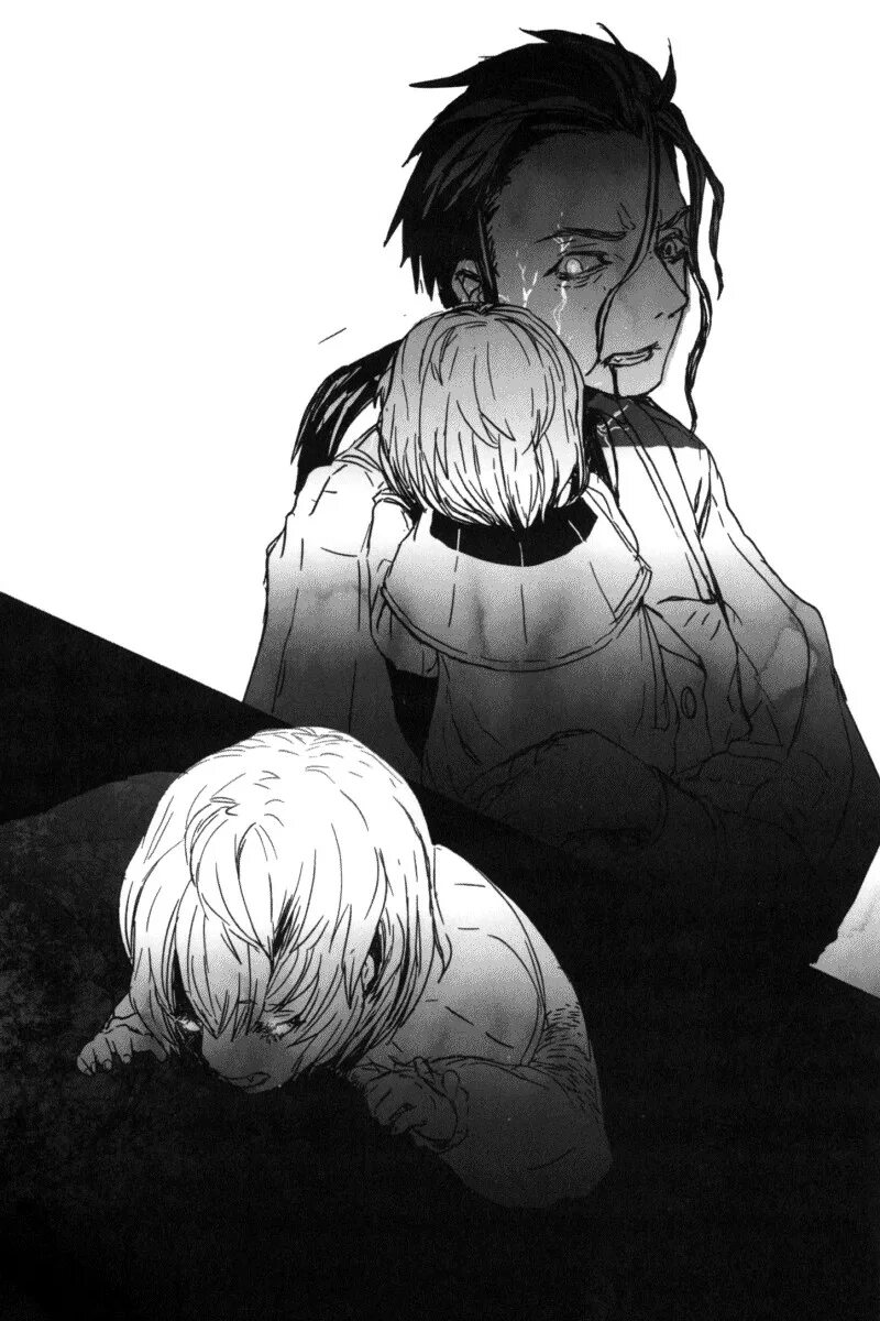 Кумоко арахна. Kumo desu ga nani ka кумоко. Карнатия сери анабальд. Гигантский паук кидомару. Шираори кумоко арахна.