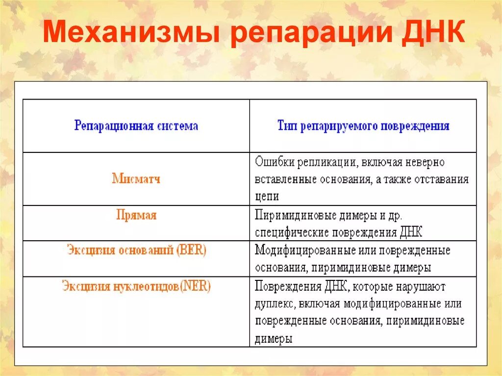 Пример репарации. Типы репарации днк таблица. механизмы репарации днк. виды репарации днк. репарация днк типы.