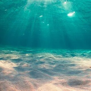 Your ocean