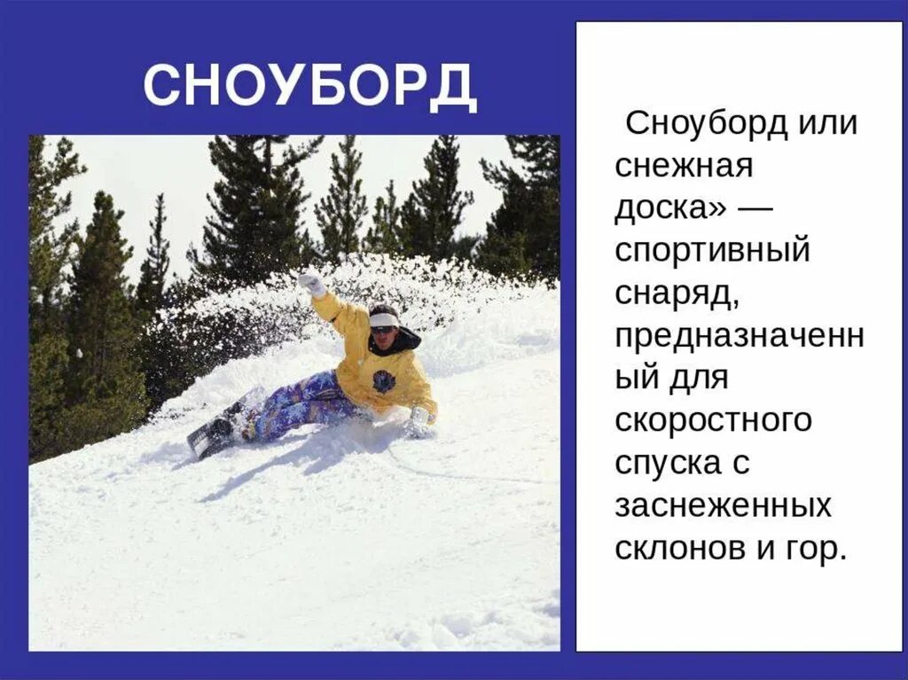 Какие бывают зимние виды. Зимние виды спорта с описанием. зимние виды спорта картинки с описанием. зимние виды спорта для детей с описанием. описание зимнего спорта.