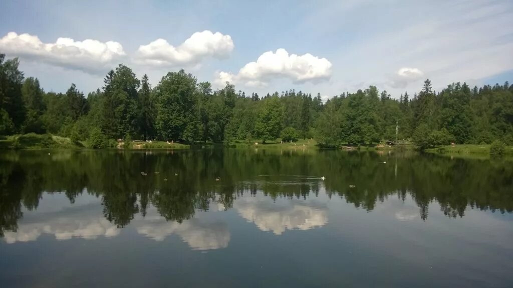 Финское озеро 5. Финское озеро Парголово. Финское озеро Парголово рыбалка. Шуваловское озеро СПБ. Шуваловский парк лошадиный пруд.