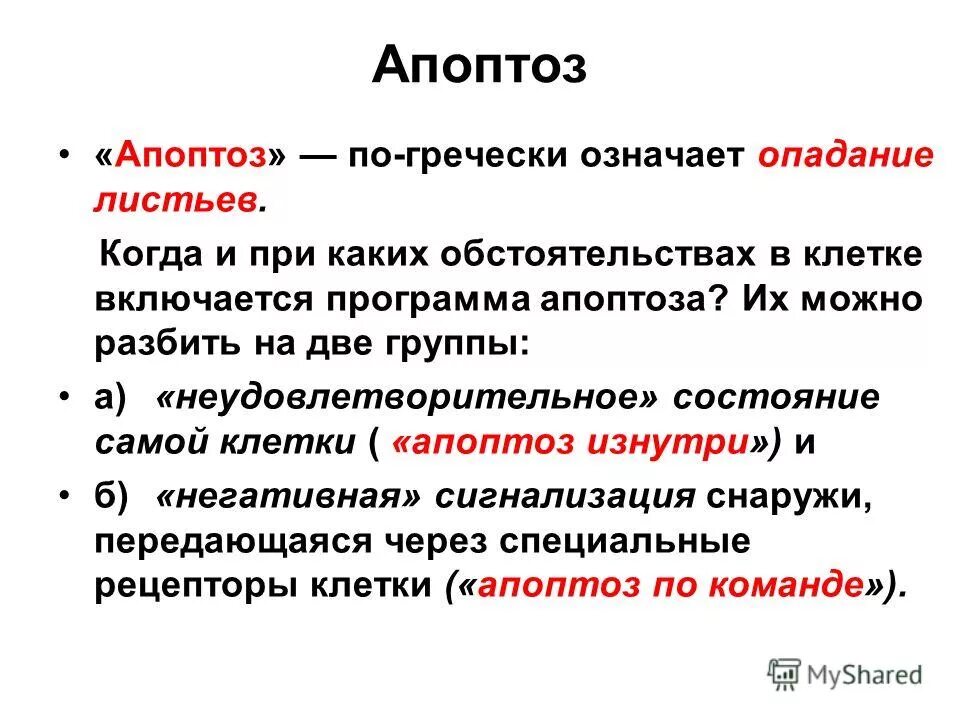 апоптоз злокачественных клеток. апоптоз клеток. аутофагия и апоптоз. апоптоз фото. апоптоз клеток.