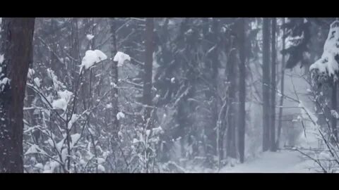 Премьера! guf (гуф) пусто (фан клип) mp4.