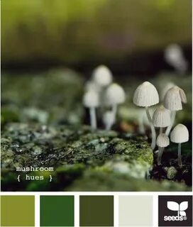 Оттенок mushroom