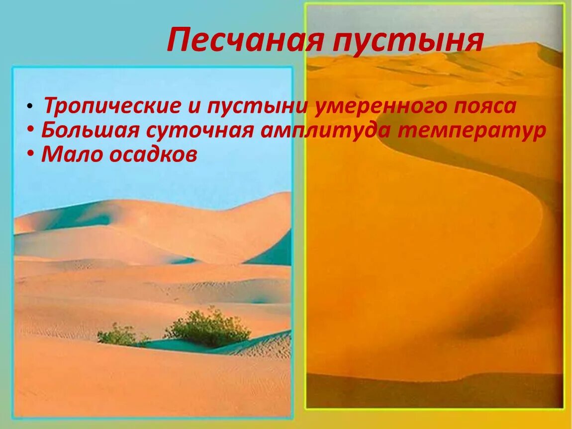 Пустыни умеренного пояса. Тропические пустыни презентация. Тропические пустыни природная зона. Пустыни тропического и умеренного поясов.