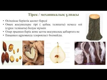 Дикке өкшемен ұру