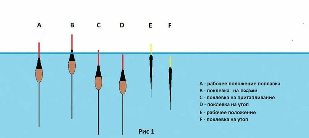 Какую рыбу можно ловить на удочку. Огрузка поплавка для маховой удочки. Правильная огрузка поплавка на карася в стоячей воде. Огрузка поплавочной удочки на карася. Схема скользящего поплавка.
