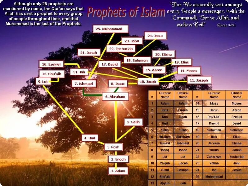Про мусульманских пророков. Древо пророков в Исламе. Список пророков от Адама до Мухаммада. Древо пророков от Адама до Мухаммада. Имена пророков в Исламе по порядку.