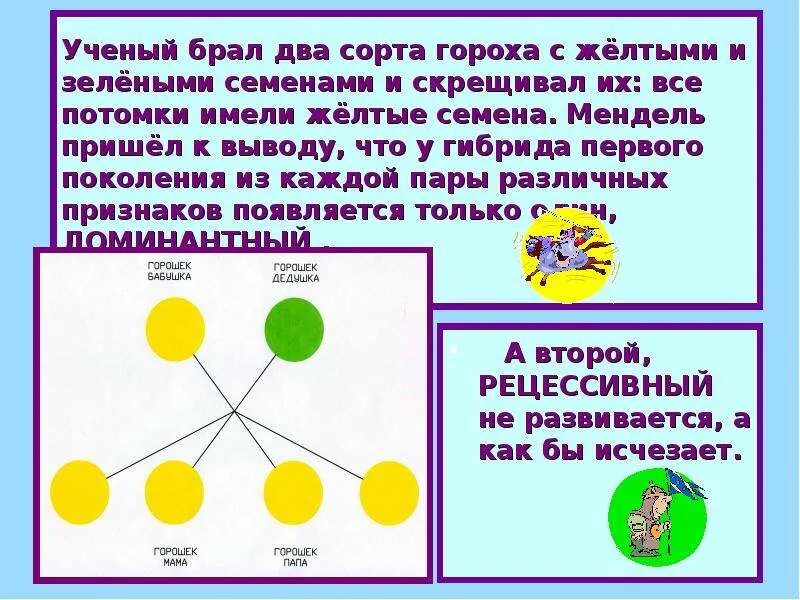 Желтый гладкий горох скрестили. Гороха с желтыми семенами и с зелеными семенами. Желтая горошина скрещивается с желтым горохом. Желтые и зеленые семена гороха рецессив. Зелёный горох скрестили с зеленым.