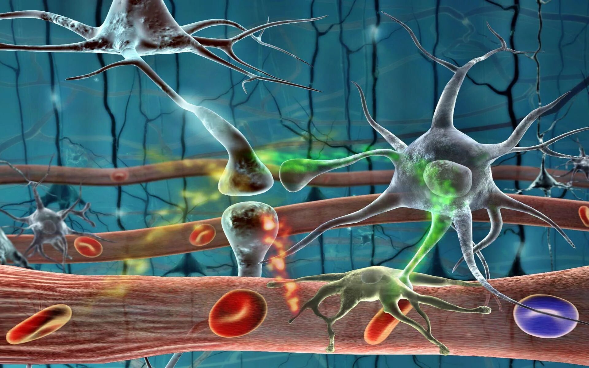 Нео биология. Биологический фон. Киану ривз neo. Киану ривз нео матрица 1999. Возбудитель энтеровирусной инфекции.