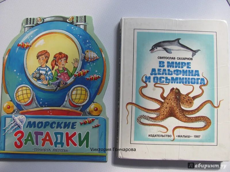 Морские были книга. Сахарнов книги. Морские загадки. Книжка с морскими загадками.