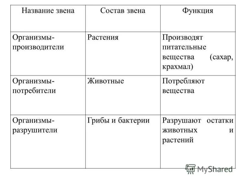 Бактерии грибы в круговороте веществ выполняют роль. Название организмов. Название организмов функции организмов. Питательные вещества грибов растений и животных. Роль грибов в круговороте веществ.