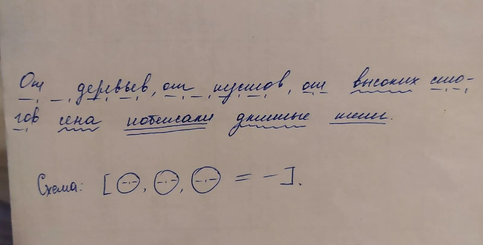 Разбор предложения. Тени синтаксический разбор. Пунктуационный разбор предложения деревьев. Деревьев пунктуационный разбор. Сена 4 разбор