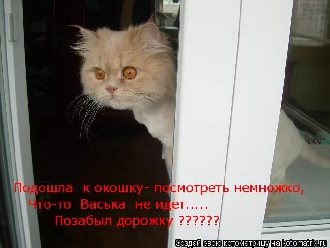 прокрастинация анекдот. комикс волонтерство. зубарев пародия. шоу немножко разведены. позабыт позаброшен картинки прикольные.