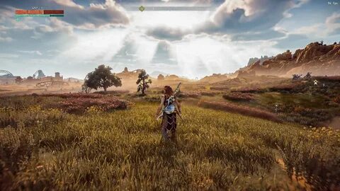 Horizon setup