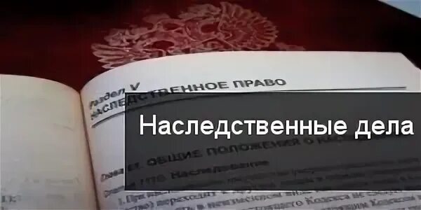 Номер наследственного дела