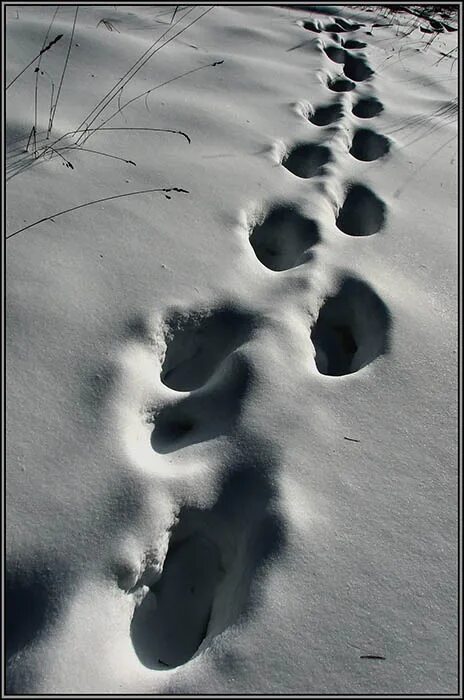 песня по морозу босиком к милому ходила