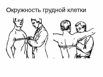 Измерение обхвата грудной клетки практическая работа 9