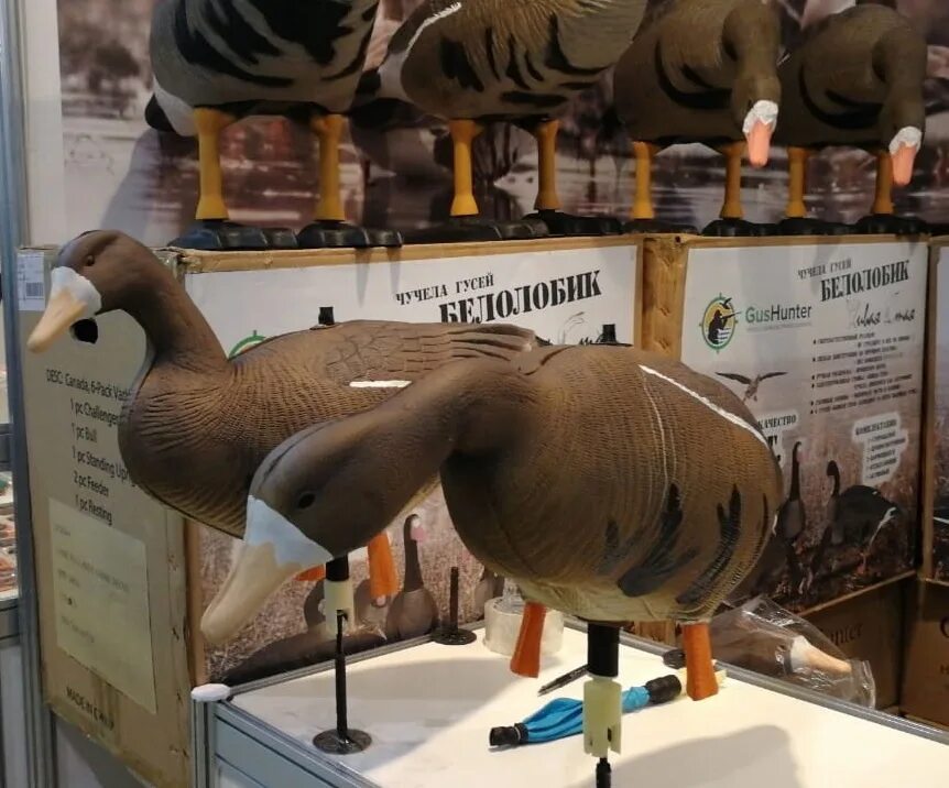 Чучело адлер. Реклама чучела. Реклама чучела. Стойка для чучела гуся. Реклама чучела.