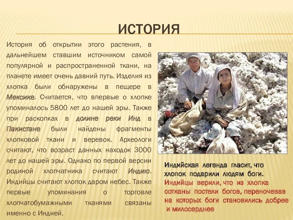 страна изобрела чай. откуда появился чай. страна изобрела чай. страна изобрела чай. историческая справка о чаепитии.