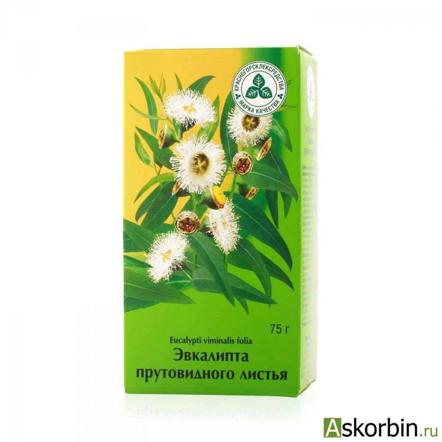 Эвкалипт прутовидный лист 50г (фитофарм). Эвкалипта прутовидного листья 75 г. Цветы липы лекарственные формы. Эвкалипта прутовидного листья содержат биологически активные соединения. Фармацевт эвкалипта прутовидного листья.