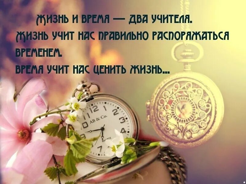Жить данной минутой