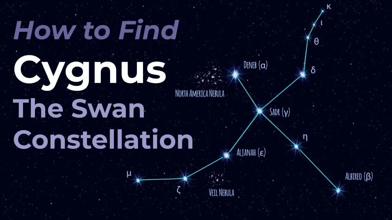 Constellation 2024. Cygnus Созвездие. Cygnus Constellation. Swan Star Constellation. Сигнус звезда.